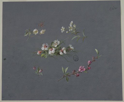 Design for Wallpaper and Textiles: Flowers