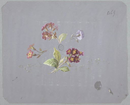 Design for Wallpaper and Textiles: Flowers