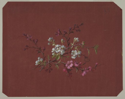 Design for Wallpaper and Textiles: Flowers