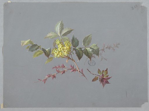 Design for Wallpaper and Textiles: Flowers