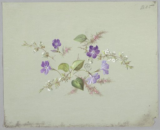 Design for Wallpaper and Textiles: Flowers