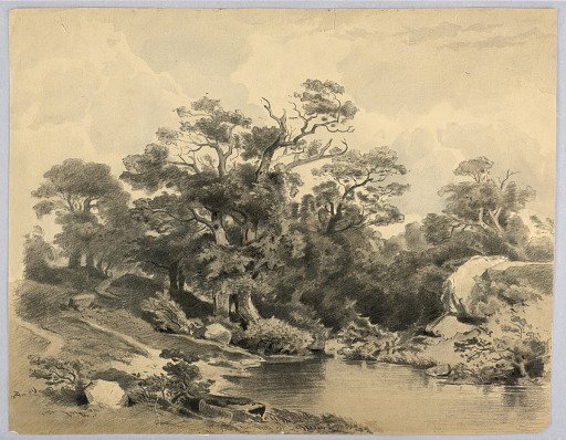Study of landscape
