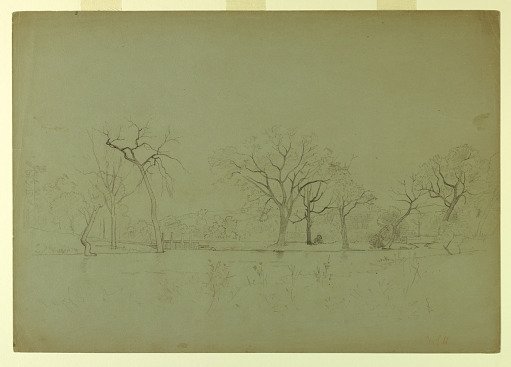 Study of landscape