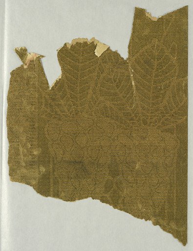 Sidewall - fragment