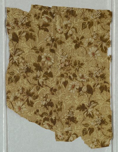 Sidewall and border