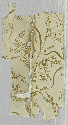 Sidewall - fragment