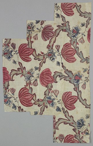 Chintz fragment