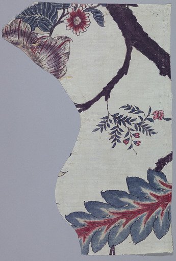 Chintz fragment
