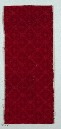 Carpet fragment