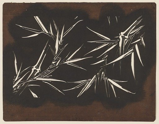 Bamboo