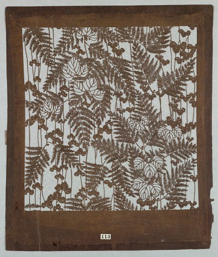 Ferns and Ivy