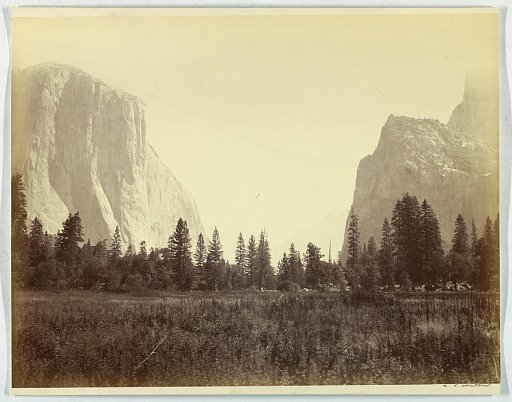 Up the valley from the foot of the Mariposa Trail, Yosemite, no. 9