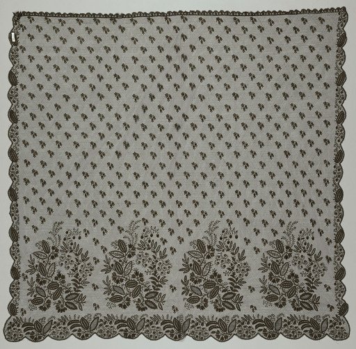Bonnet veil