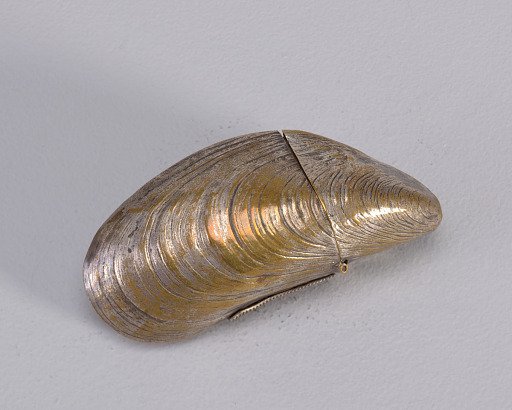 Mussel Shell
