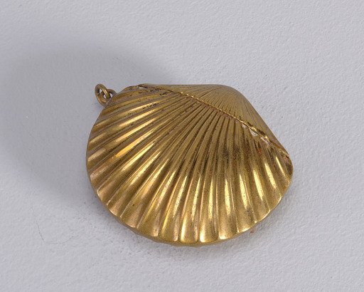 Scallop Shell
