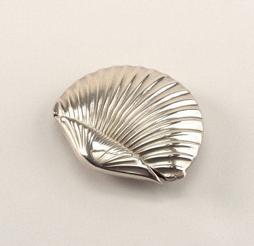 Scallop Shell