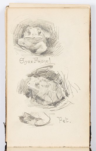 Sketchbook Page