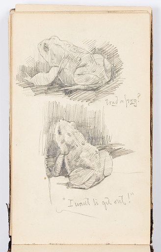Sketchbook Page: Toad or Frog