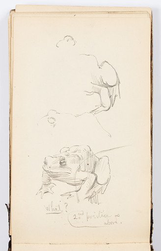 Sketchbook Page