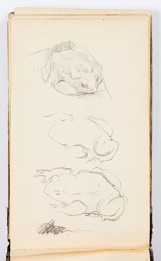 Sketchbook Page