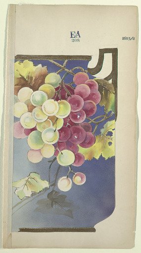 Design for a Jug