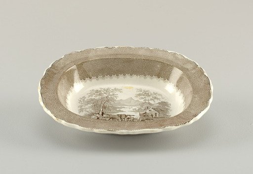Dish