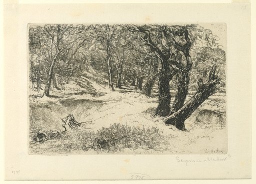 The Three Sisters