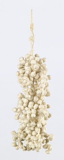 Tassel
