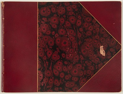 Ornament Designs for Watchmakers, Goldsmiths, Chasers, Engravers and Other Curious Persons