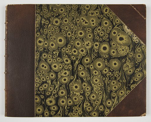 Album of Prints: Singeries by Christophe Huet