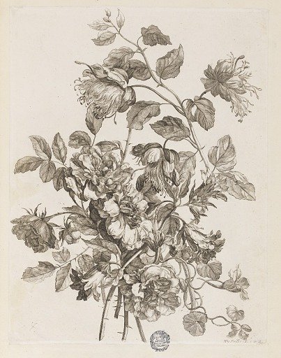 Plate from "Le Livre de toutes sortes de fleurs d'après nature"