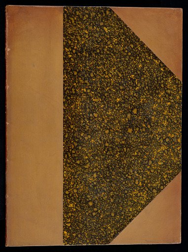 Album of Floral and Foliate Ornament Designs