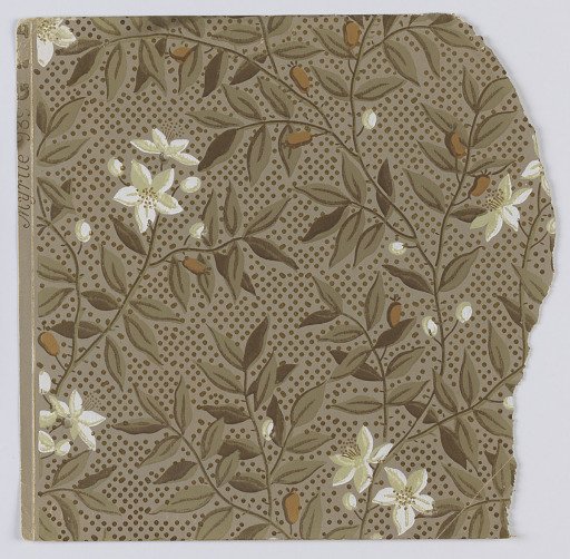 Sidewall sample