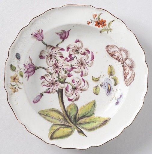 Group of Twelve "Hans Sloane" Botanical Plates