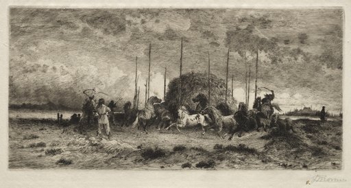 Harvest at San Juan, New Mexico