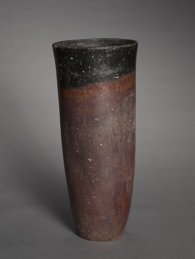 Black-Topped Beaker