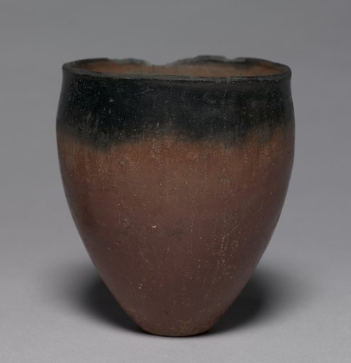 Black-Topped Beaker