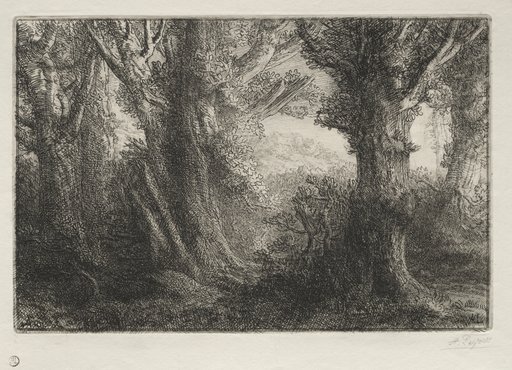 In the Forest at Conteville