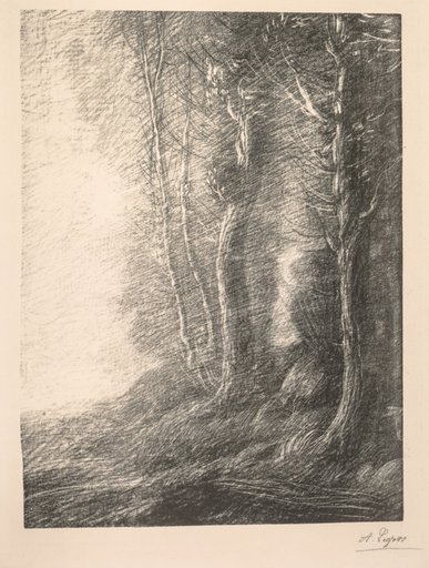 Landscape (Paysage)