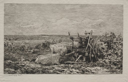 The Grape Harvest
