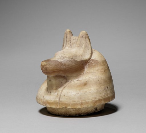 Canopic Jar with Jackal's Head (lid)
