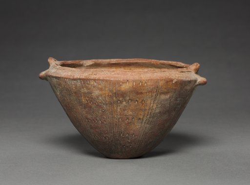 Dish