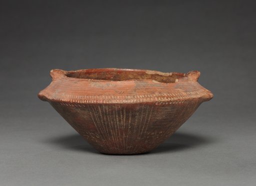 Dish