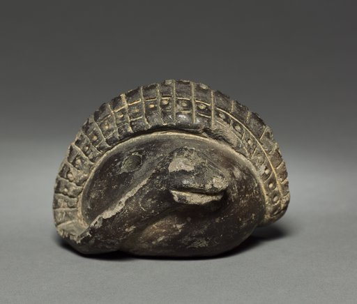 Coiled Snake
