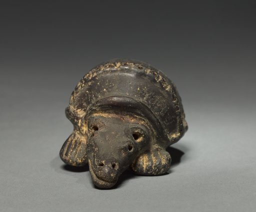 Armadillo