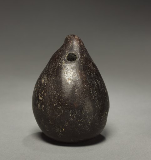 Fruit