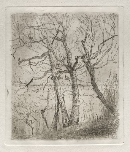 Trees