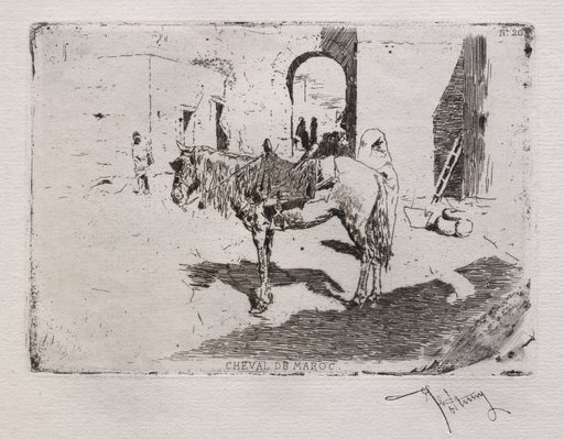 Moroccan Horse