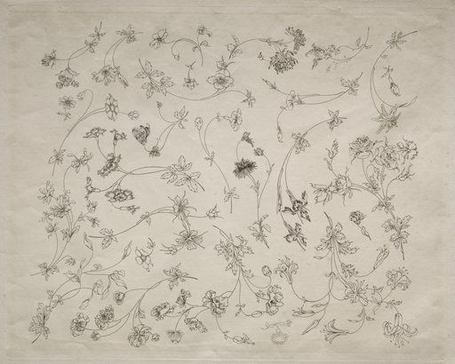 Flower designs for plates and borders (no. 14)