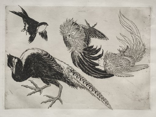 Dinner Service (Rousseau service): Pheasants and bird (no. 18)